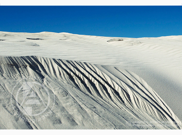 Windswept Dunes